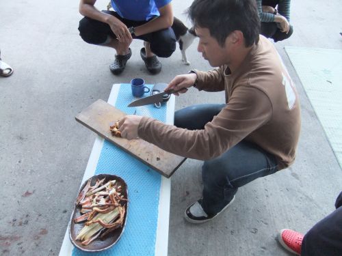 photo