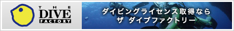 ダイビングライセンス取得なら　ザ ダイブファクトリー