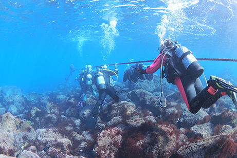 ダイビングライセンス取得の流れ 海洋実習2