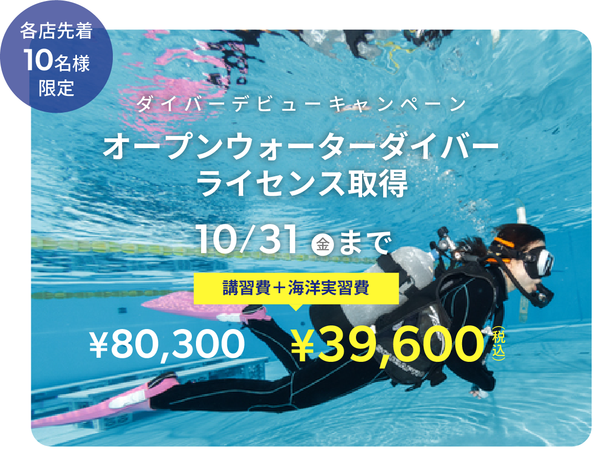 キャンペーン