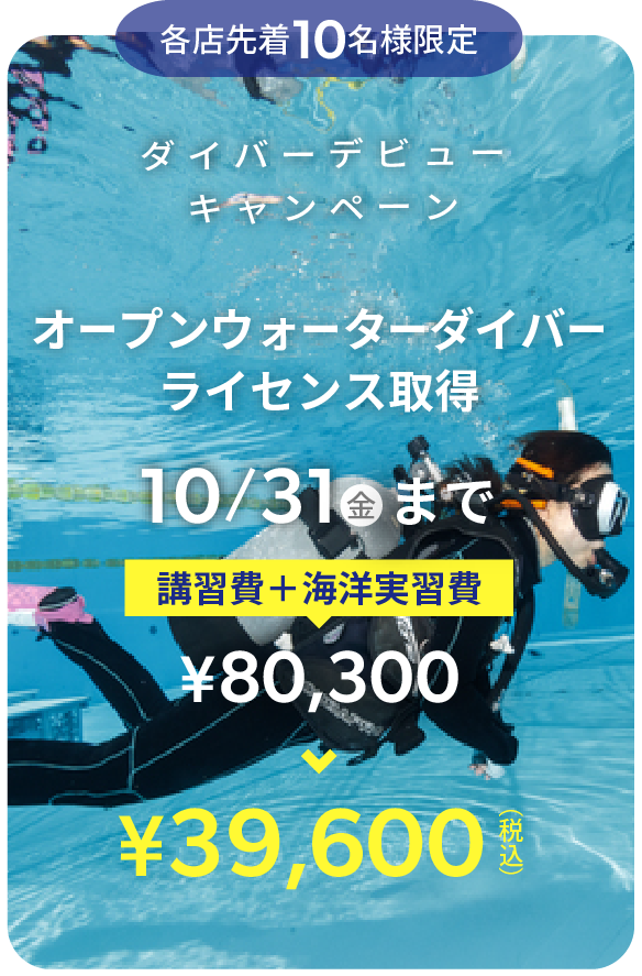 キャンペーン