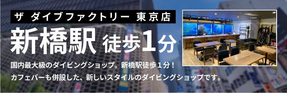 ダイビングスクール 東京 ダイビングライセンスの取得は東京のザ ダイブファクトリー ダイビングスクール 東京 ダイビングライセンスの取得は東京のザ ダイブファクトリー