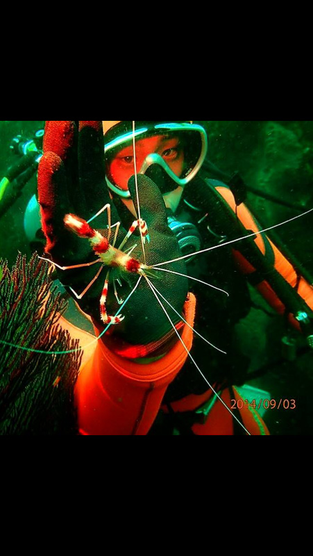 伊１２　オトヒメ様とわたし