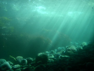 伊１６　キラキラ