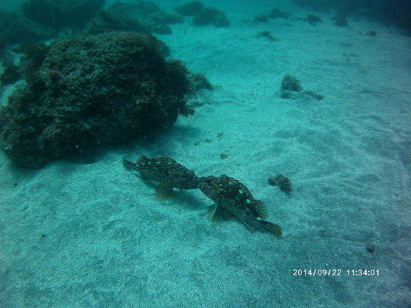 伊４８　ちゅー♪