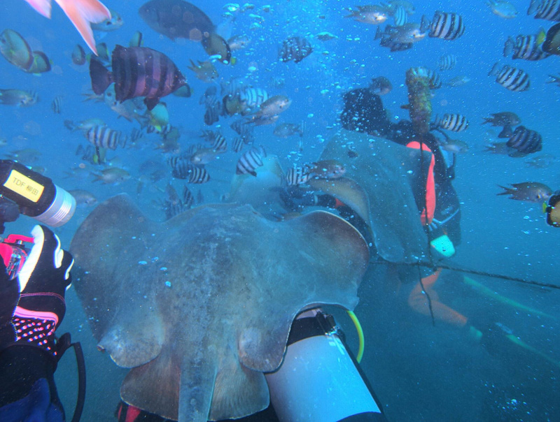 伊６　ねぇ～! 遊んで～♪（タスケテーーー!!）