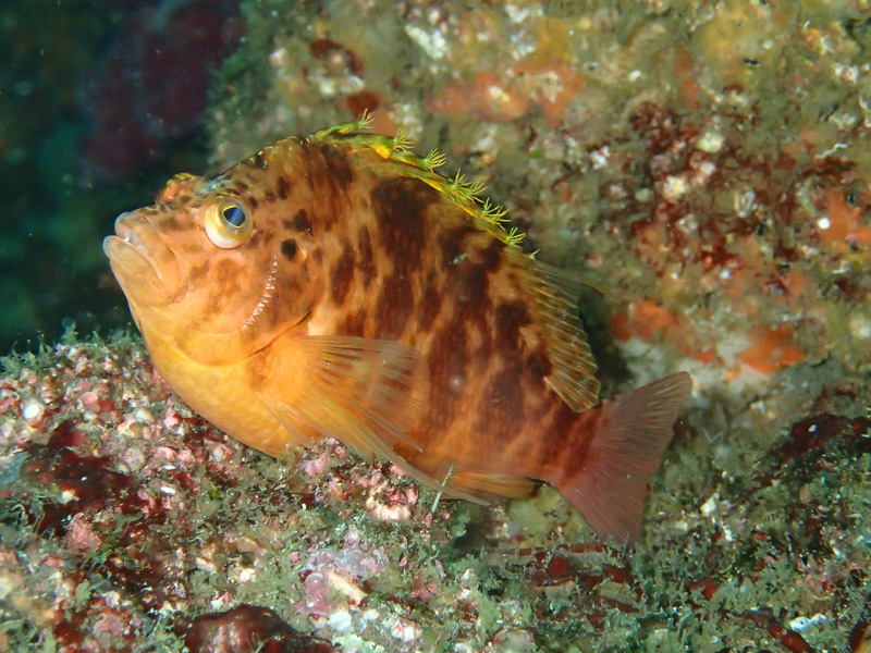 伊７４　んっ？