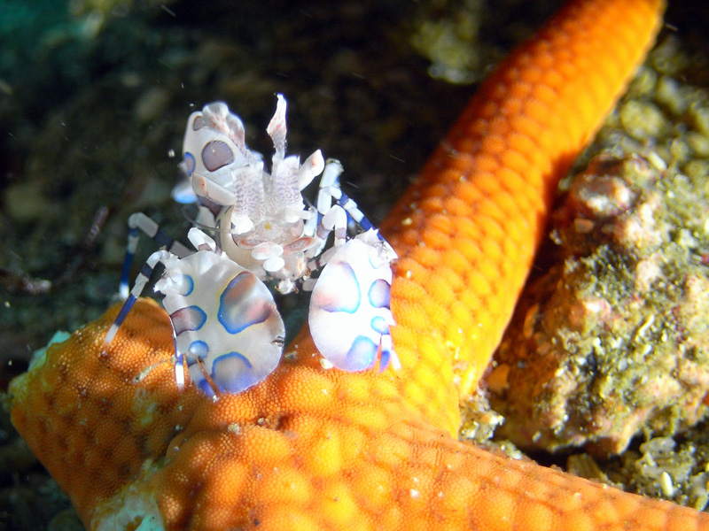 伊７６　海の中の成人式
