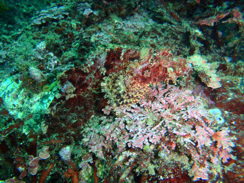 伊１０　わかるかなぁ、わっかんねぇだろなぁ。