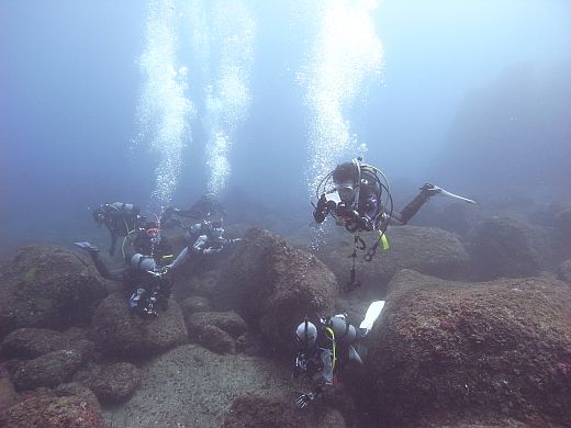 みんなでお魚観察中。