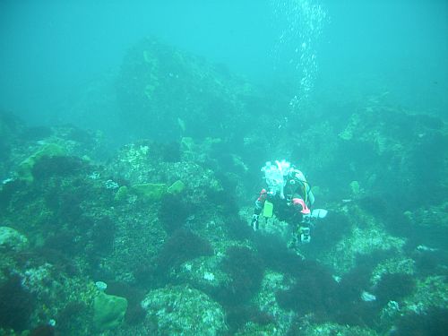 新島は地形が面白い