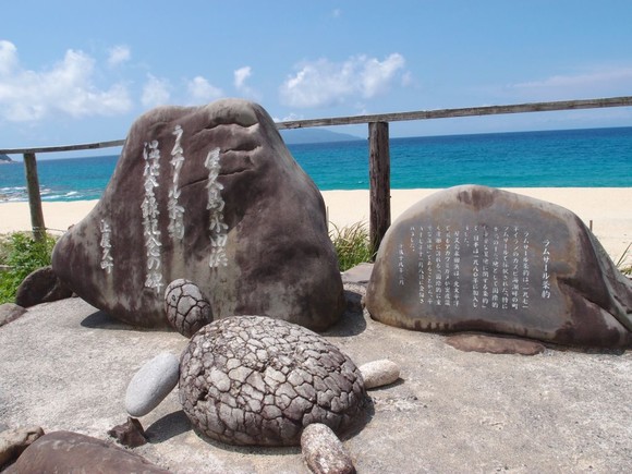 最終日は観光です。海がめの産卵地です。