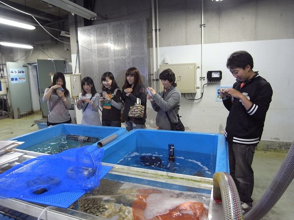 水族館裏側！！