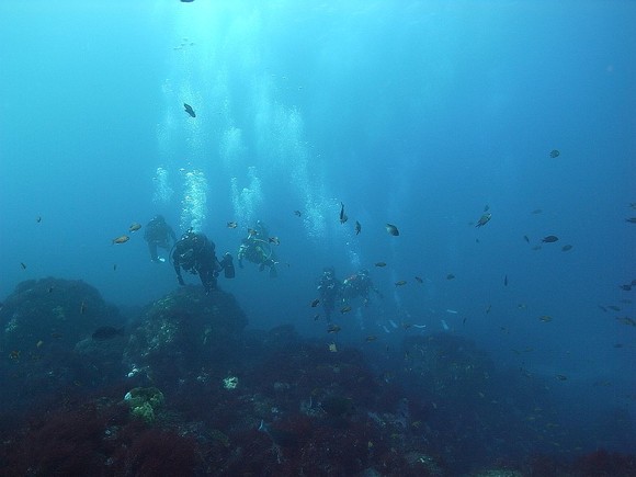 秋の浜