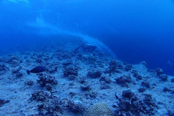 泡の動きで流れの速さがわかりますか？