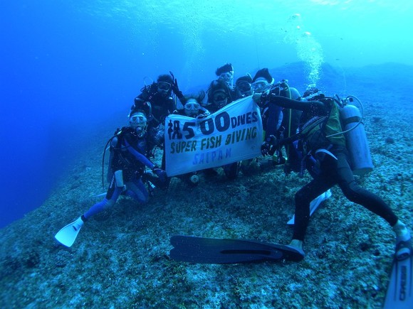 ５００　Ｄｉｖｅｓ　おめでとうございます!!