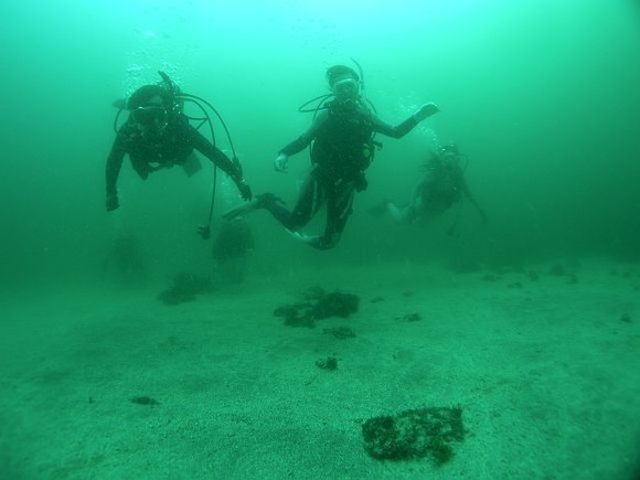 中性浮力でスーイスイ