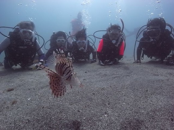 お魚観察中。