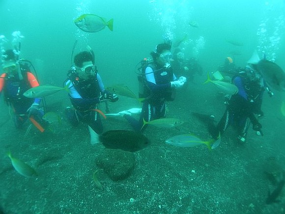 カズチーム　お魚に囲まれて