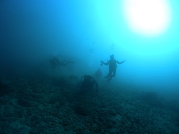 綺麗な海です