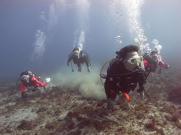 お魚見ながら泳いでます。