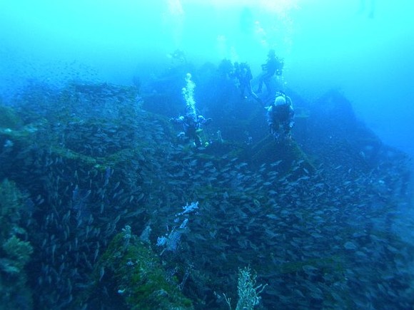 漁礁には魚がびっしり