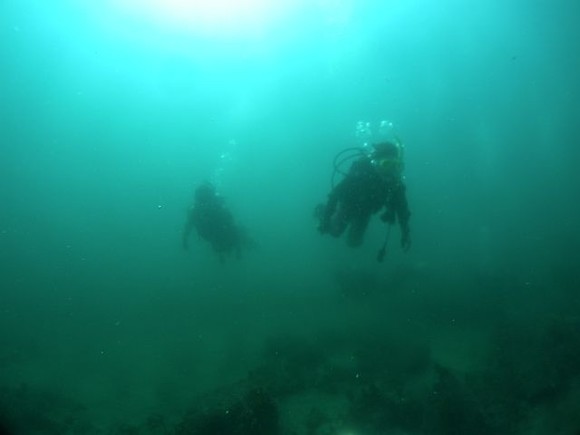 中性浮力でスーイスイ