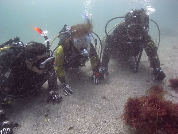 お魚観察中。