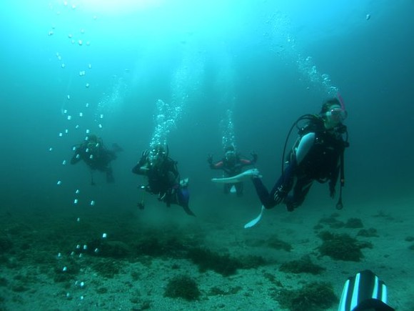 中性浮力でスーイスイ　２