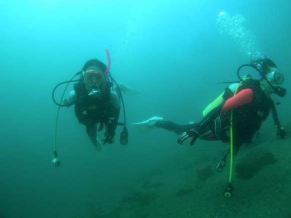 中性浮力でスーイスイ