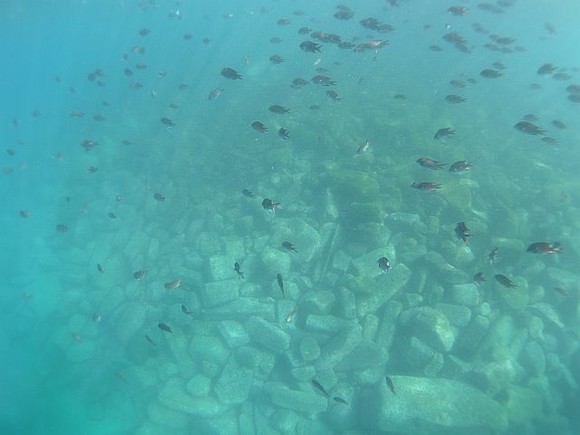 水面移動にて