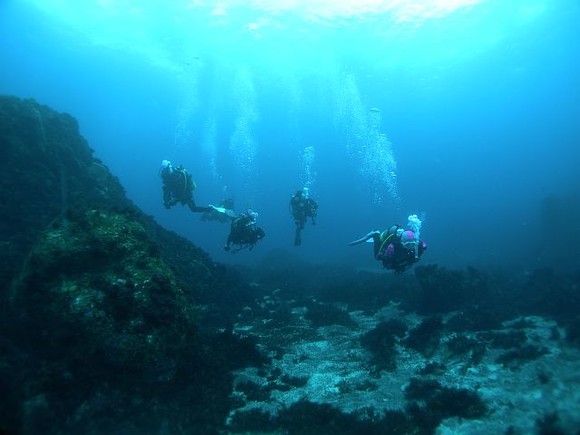 キレイな海ですね