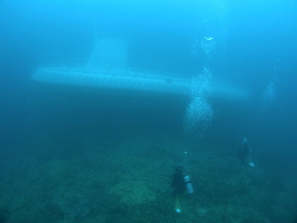 時間が合えば潜水艦と潜れます