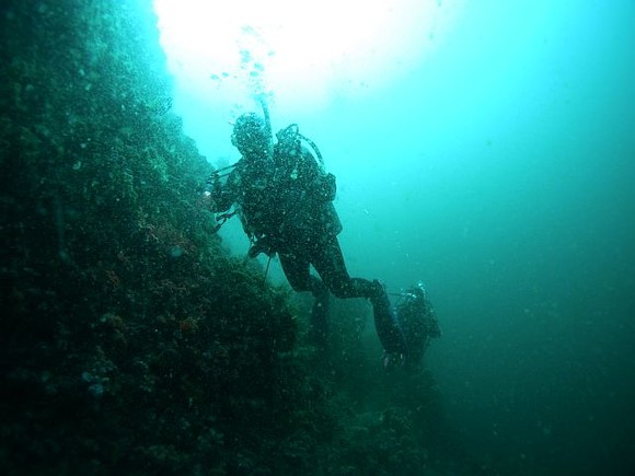 浮遊物多いですが水は綺麗