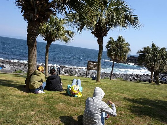 伊豆海洋公園の芝生は気持ちいいなぁ