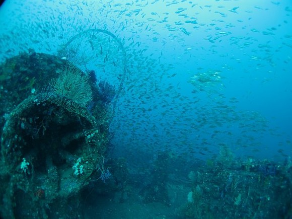 魚群