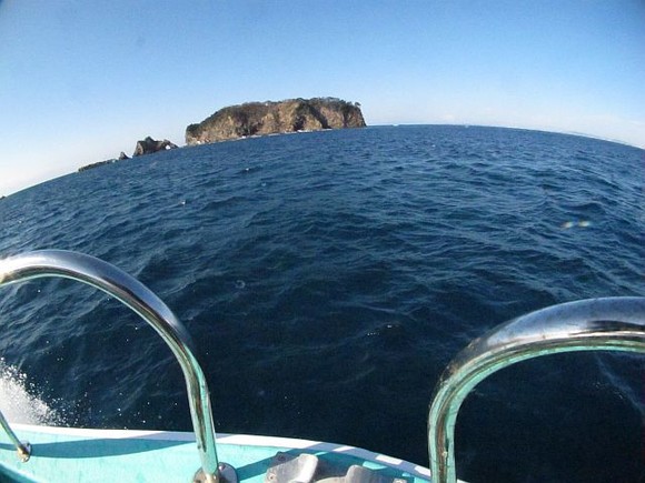 浮島の周りのポイントを潜ります