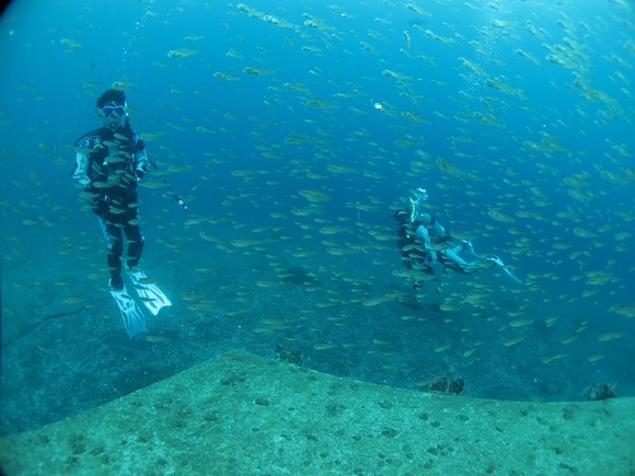 魚が多すぎ！！