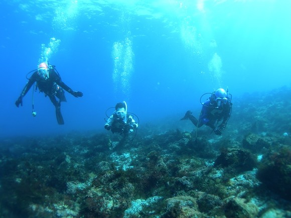 青いぜ！　富戸の海