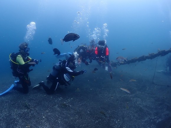 魚とも少しだけ遊ぶ