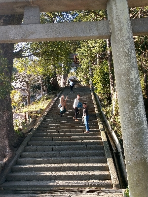 伊豆山神社の階段