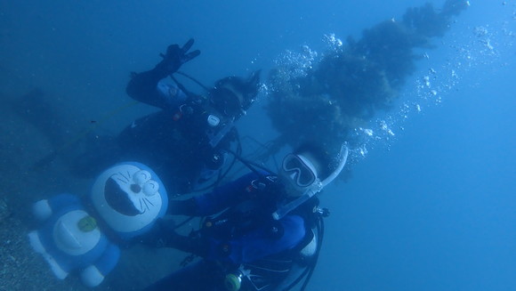 江の浦にもクリスマスツリーが！！