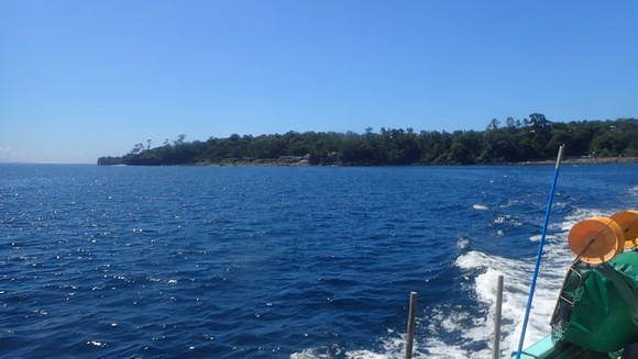 夏を感じる富戸の海