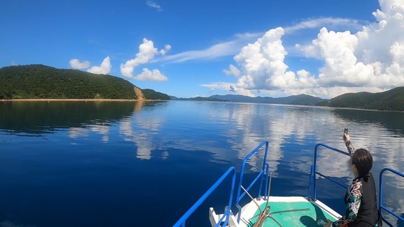 景色が映る水面