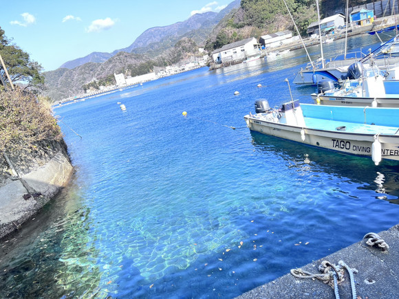 透き通った最高の海！！！