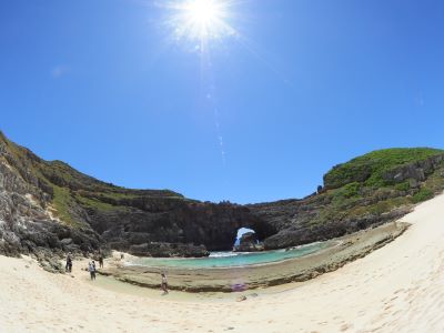 ウミガメの産卵しているところがありました