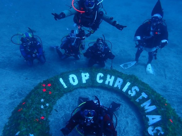 クリスマス使用