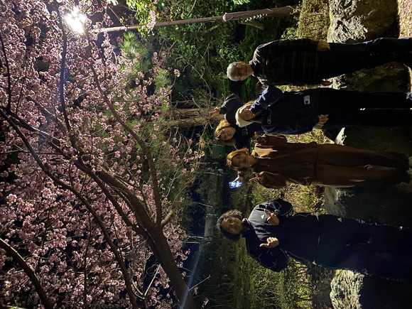夜桜も満喫しました！