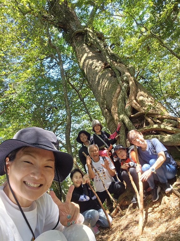 屋久杉おっきーーい！！