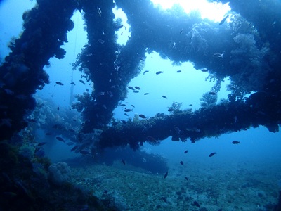 トライアングル！！